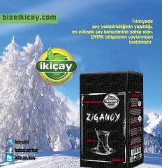 Ziganoy